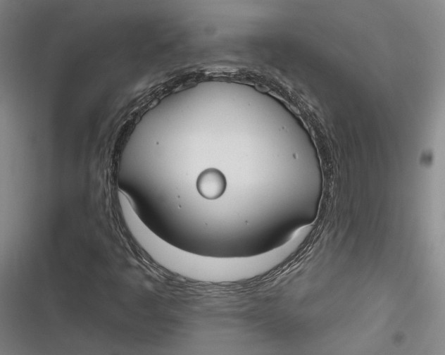 X0000116851445201001121210