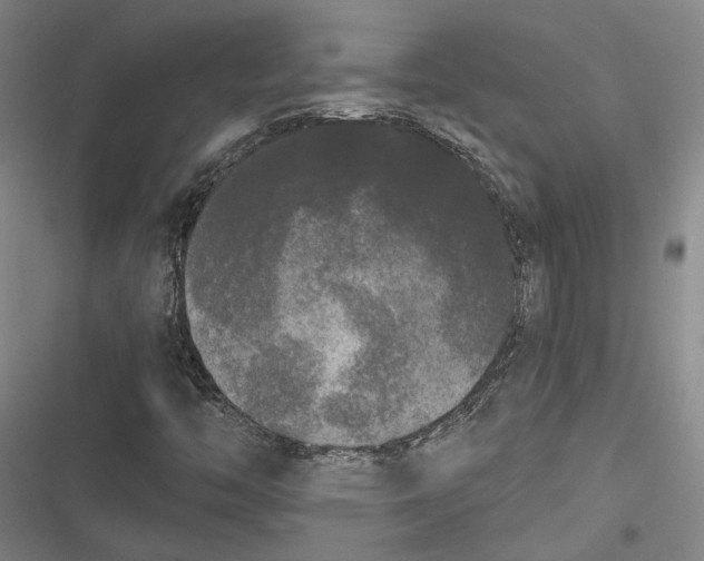 X0000116851446201001121210