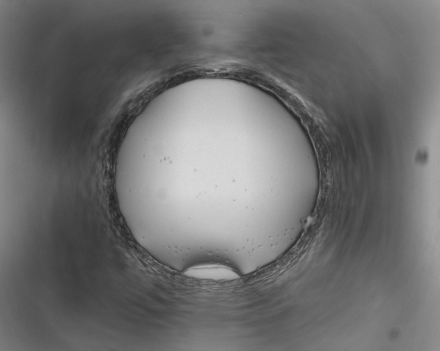 X0000116851447201001121210