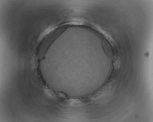 X0000116851448201001121210