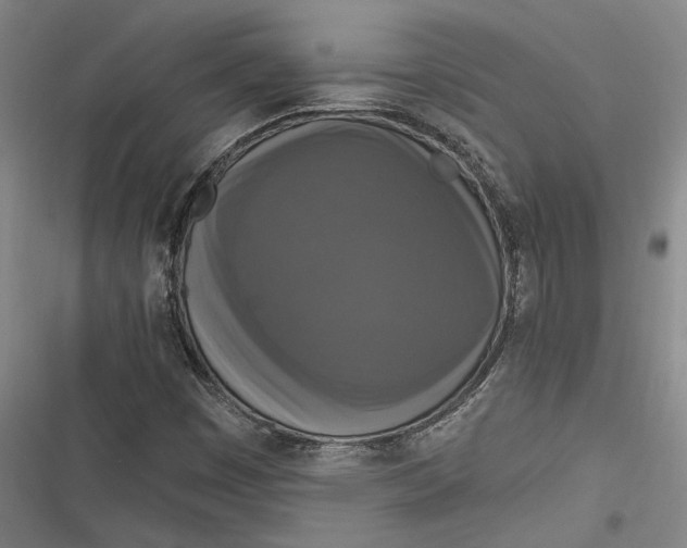 X0000116851449201001121210