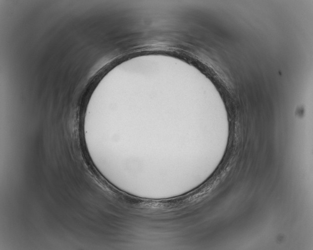 X0000116851450201001121210