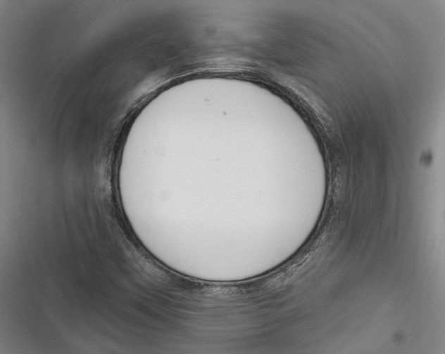 X0000116851451201001121210