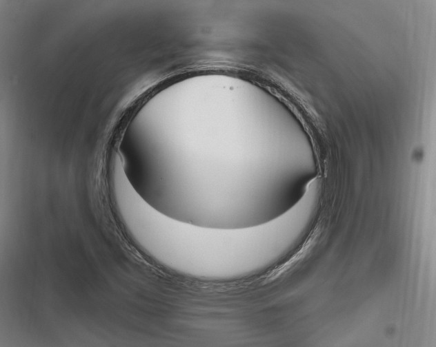 X0000116851453201001121210