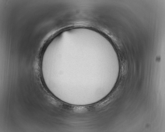 X0000116851454201001121210