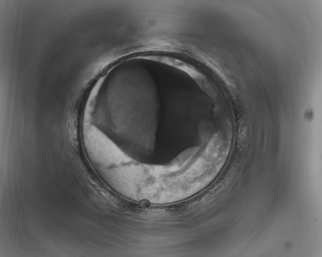 X0000116851455201001121210