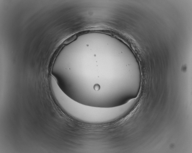 X0000116851457201001121210