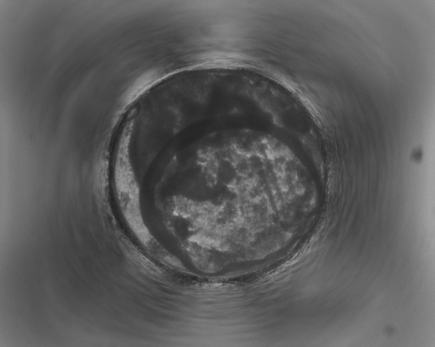 X0000116851459201001121210