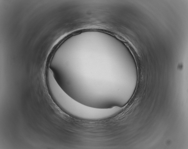 X0000116851460201001121210