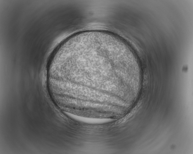 X0000116851461201001121210