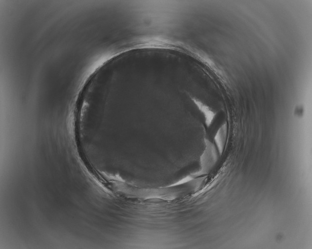 X0000116851463201001121210