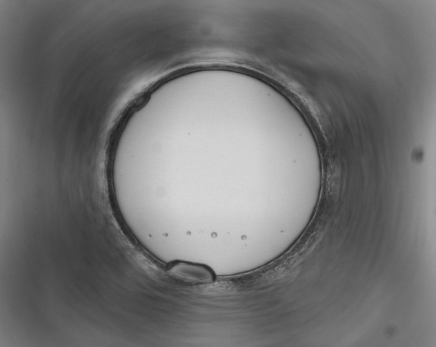 X0000116851464201001121210