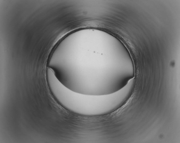 X0000116851465201001121210