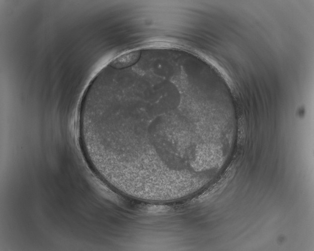 X0000116851467201001121210