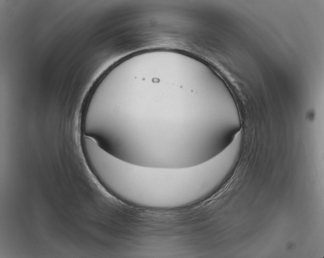 X0000116851468201001121210