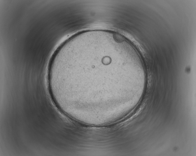 X0000116851469201001121209