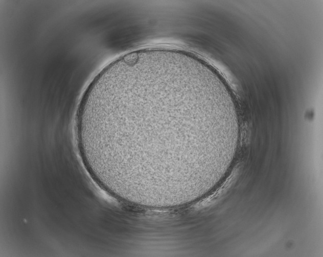 X0000116851470201001121209