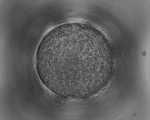 X0000116851471201001121209