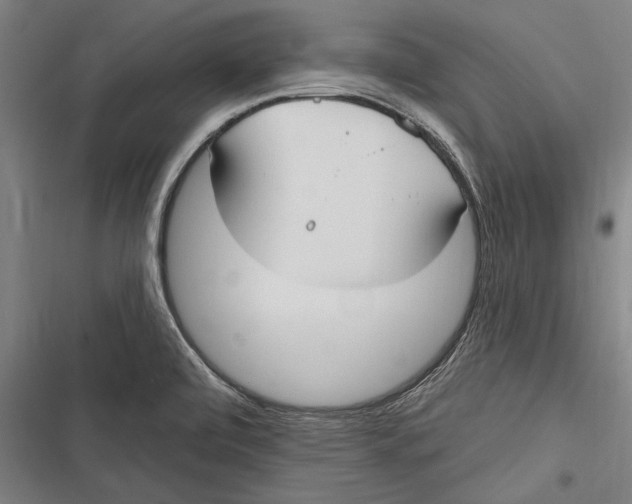 X0000116851472201001121209