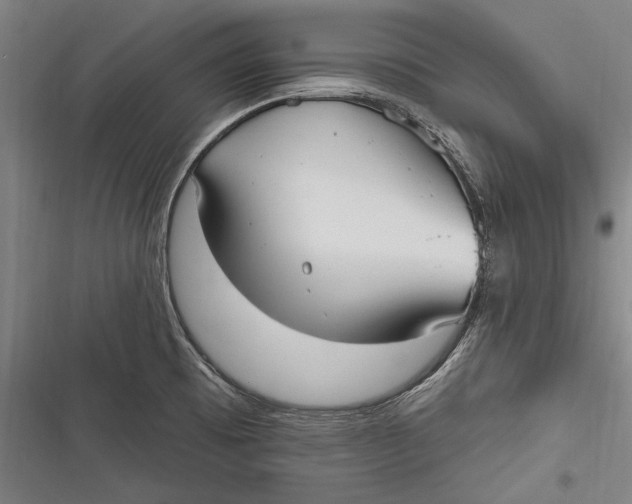 X0000116851473201001121209