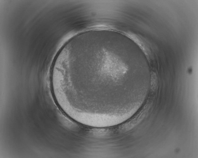 X0000116851474201001121209