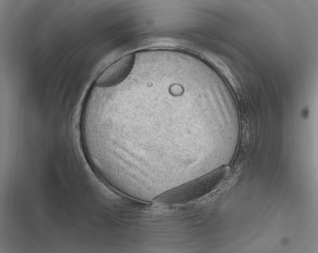 X0000116851475201001121209