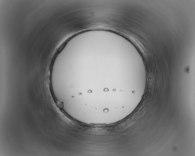 X0000116851476201001121209