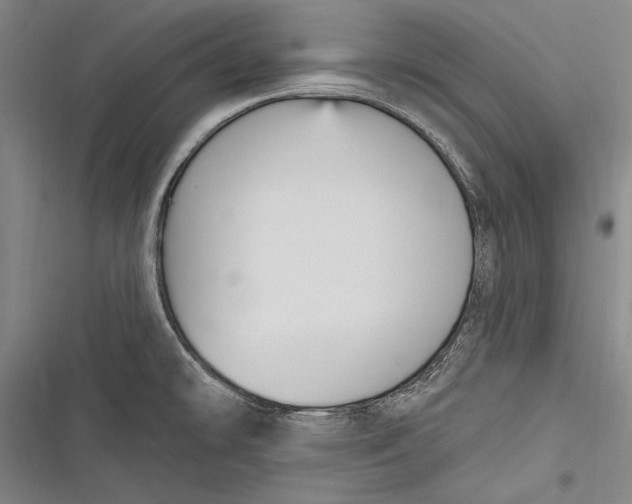 X0000116851478201001121209