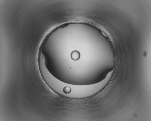 X0000116851480201001121209