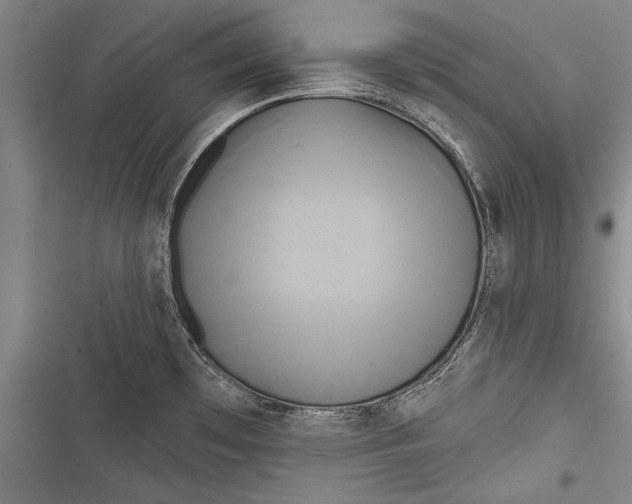 X0000116851481201001121209