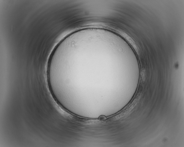 X0000116851482201001121209