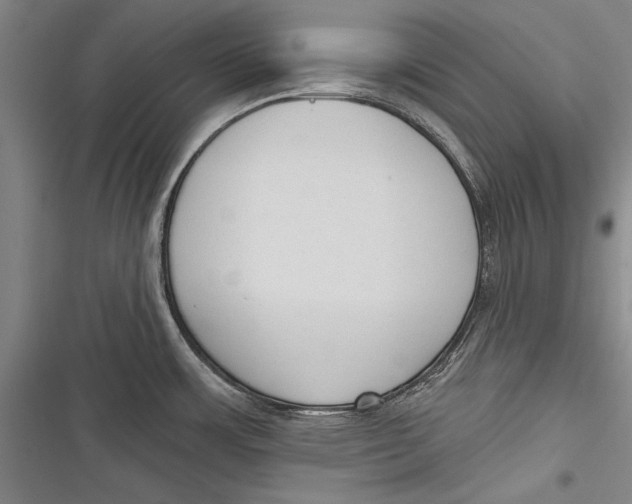 X0000116851483201001121209