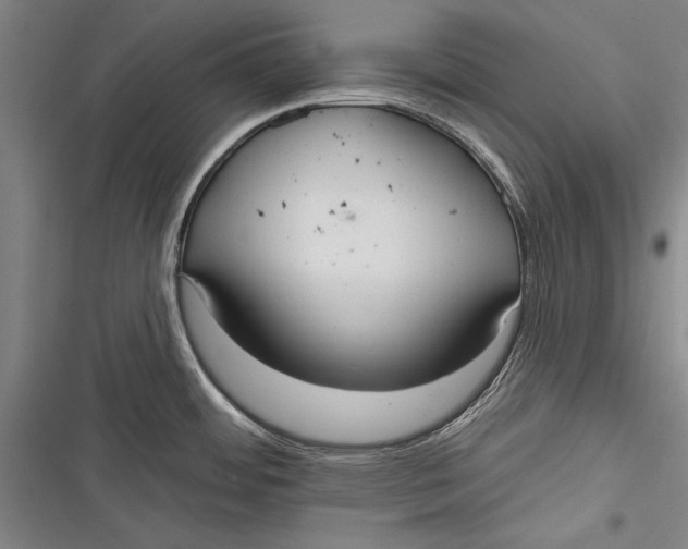 X0000116851484201001121209