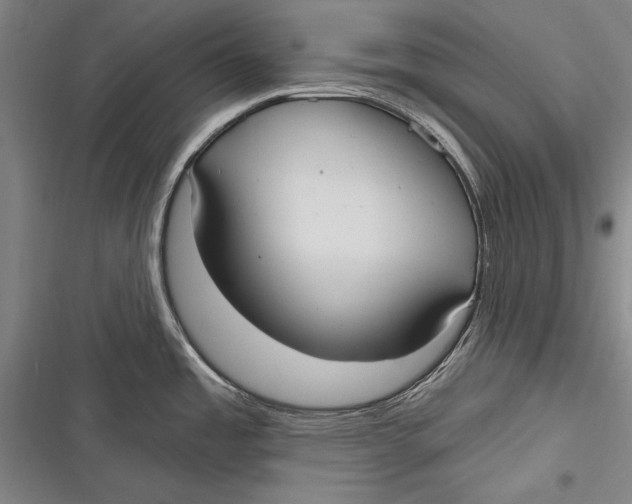 X0000116851485201001121209