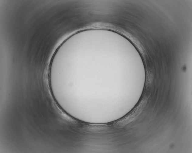 X0000116851486201001121209