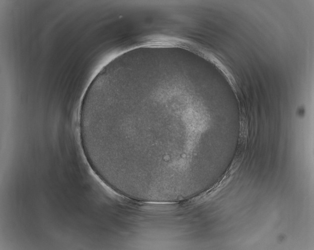 X0000116851487201001121209