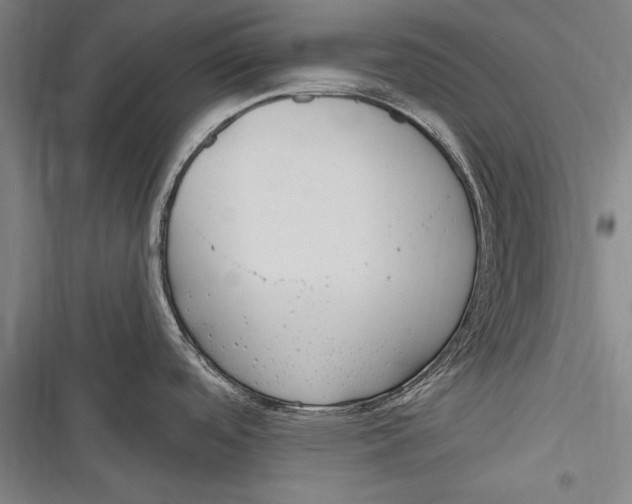 X0000116851488201001121209