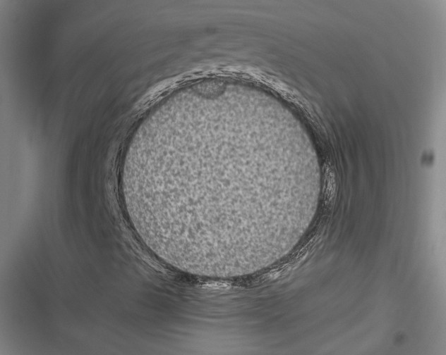 X0000116851489201001121209