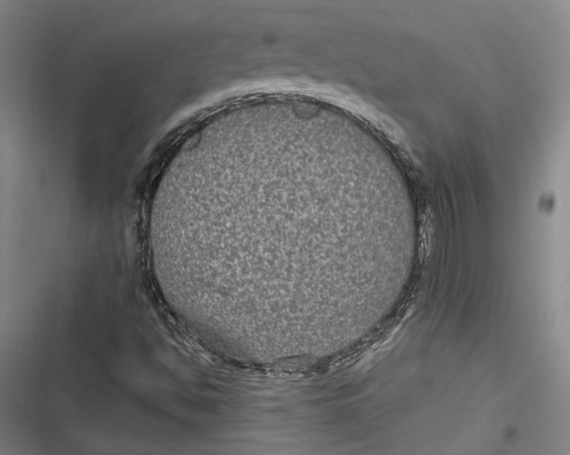 X0000116851494201001121209