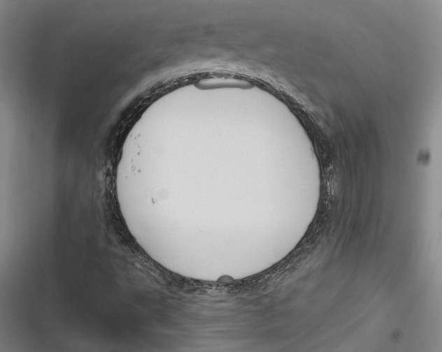 X0000116851495201001121209