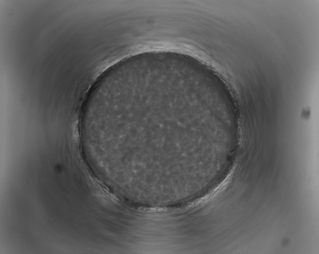 X0000116851497201001121209