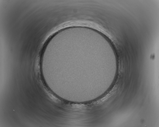 X0000116851498201001121209