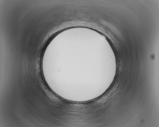 X0000116851499201001121209