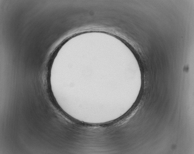 X0000116851502201001121209