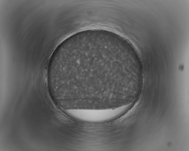 X0000116851505201001121209