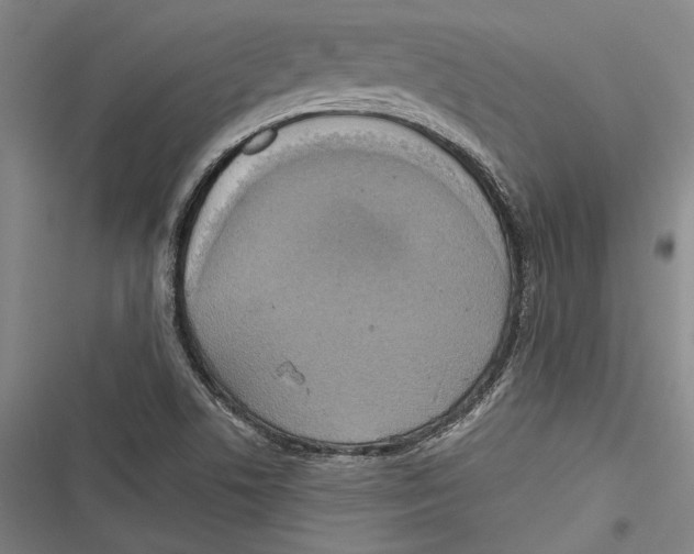 X0000116851506201001121209