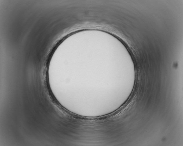 X0000116851507201001121209