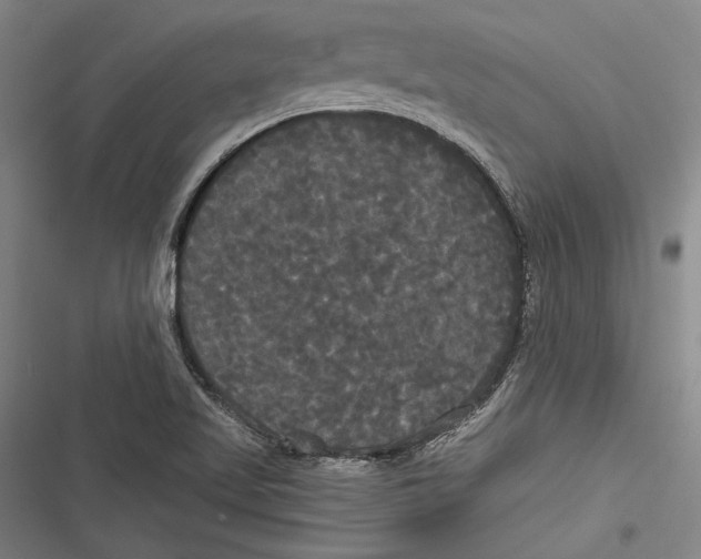 X0000116851509201001121209