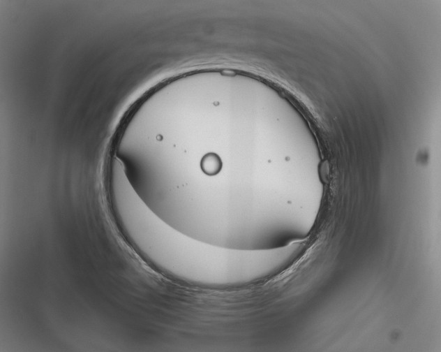 X0000116851510201001121209