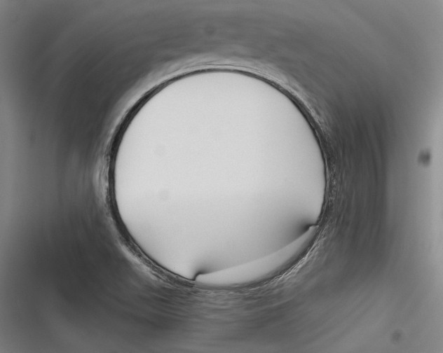 X0000116851511201001121209